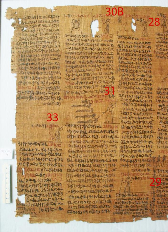Graphic depicting where spells 21-27 are located on the papyrus